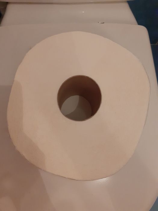 Rolos de Papel higiénico