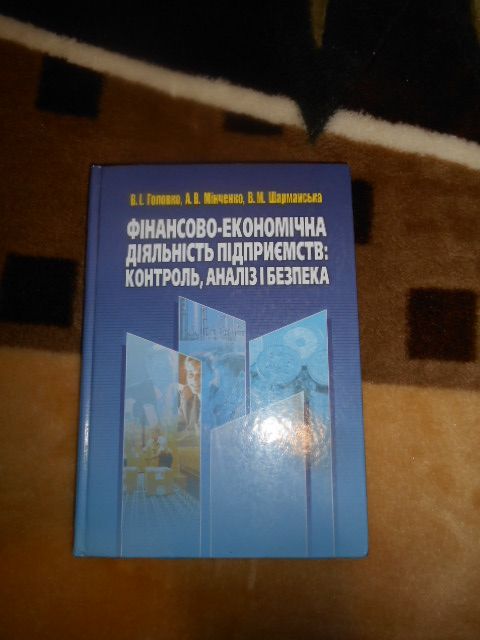Фінансово-економічна діяльність підприємств Головко В.І.