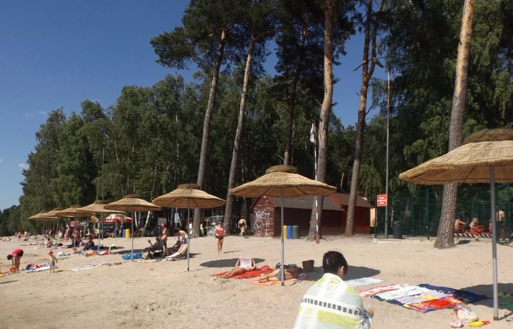 PARASOL z trzciny na upał, na plażę, basen  strzecha trzcinowy plażowy