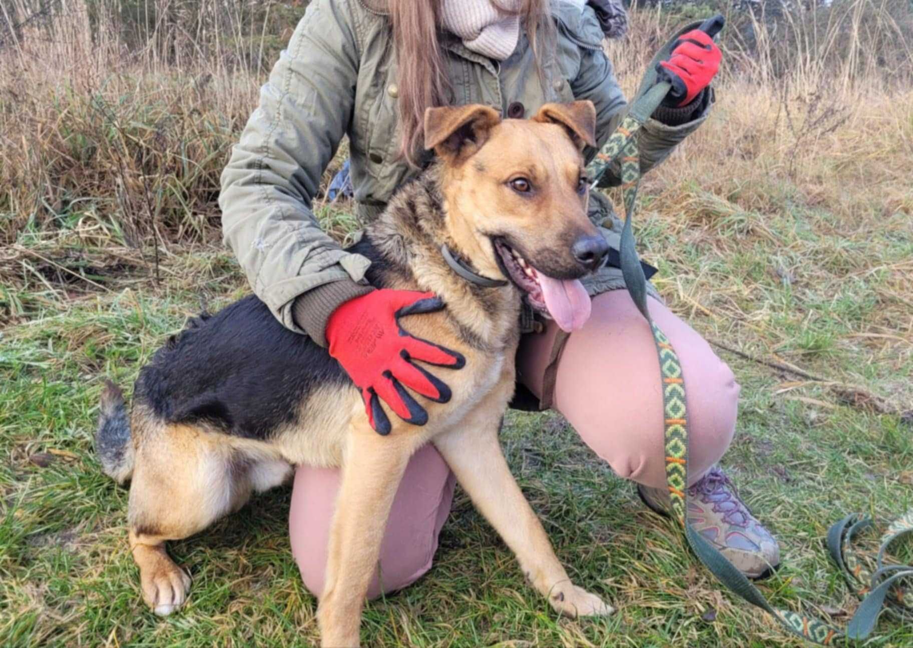 Kochający człowieka CZARUŚ szuka domu !! Do adopcji !!