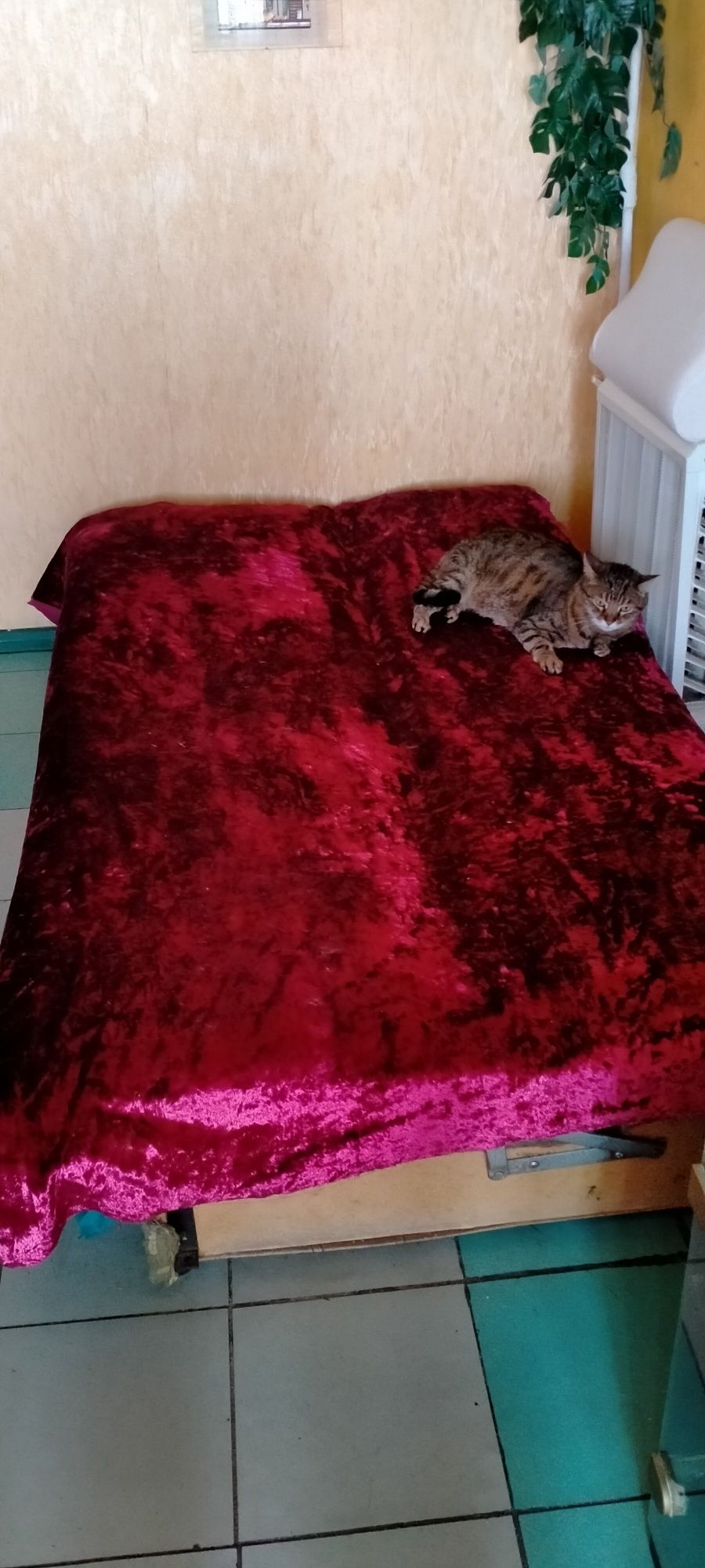 Подарю диван Самовывоз