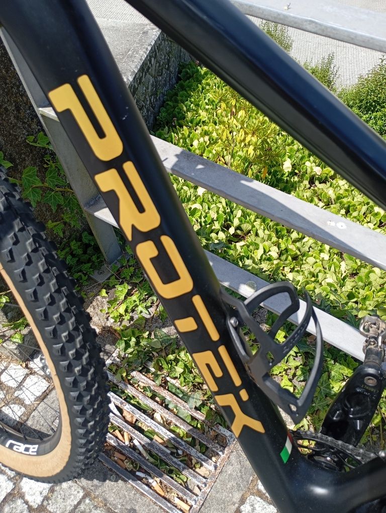 Bicicleta PROTEK V9.C
