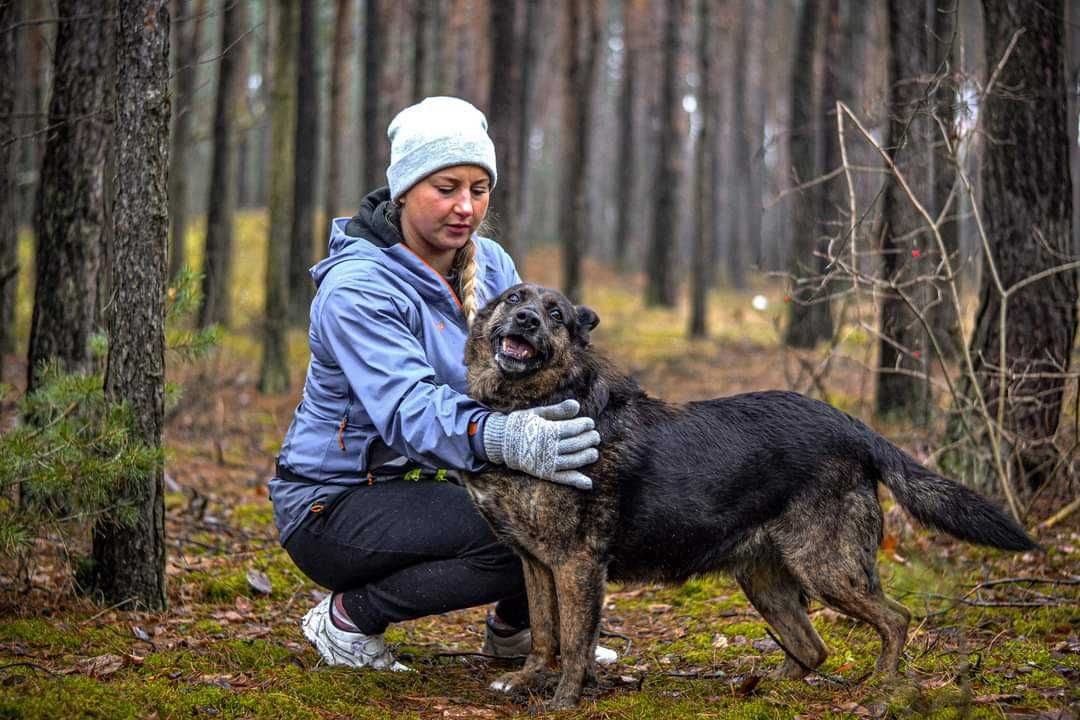 Sympatyczna Eliga- delikatna sunia