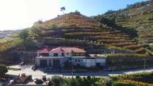 2 Moradias c/ vinha - Vista para Douro