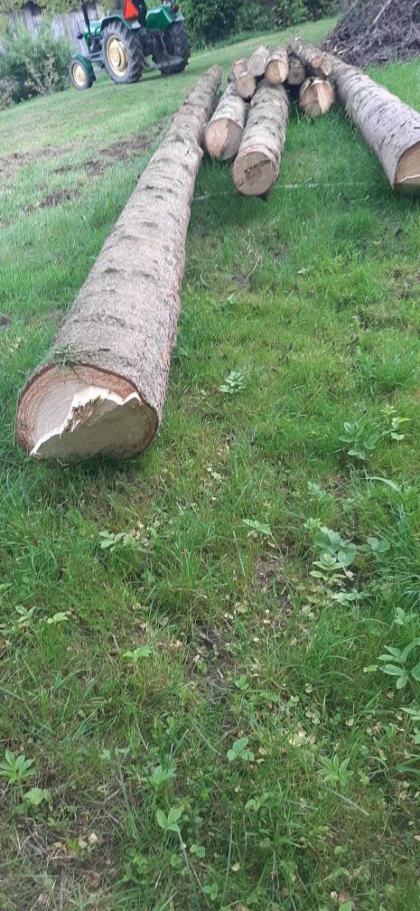 Sprzedam kloce świerka