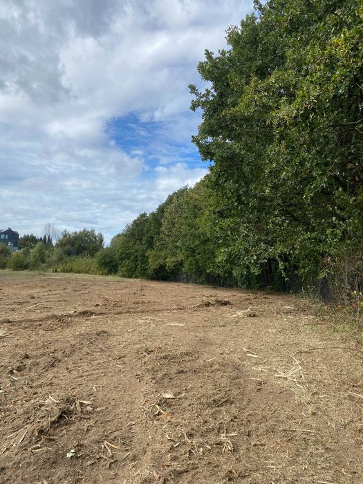 mulczowanie, mulczer leśny, Karczowanie, wycinka, czyszczenie działek