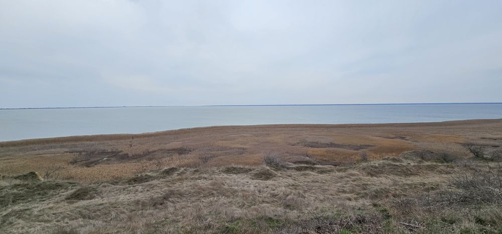 Продажа участка Затока , каролино-бугаз.