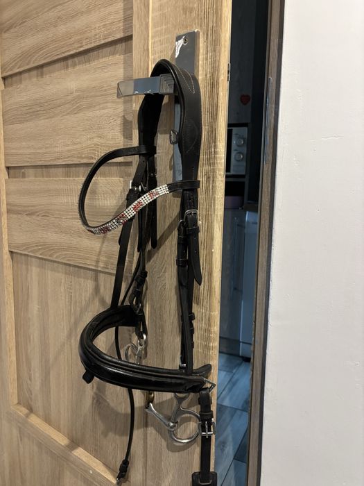 Oglowie cob szwedzkim nachrapnikiem