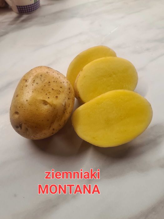 Ziemniaki jadalne