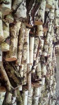 Drewno opalowe - kominkowe brzoza