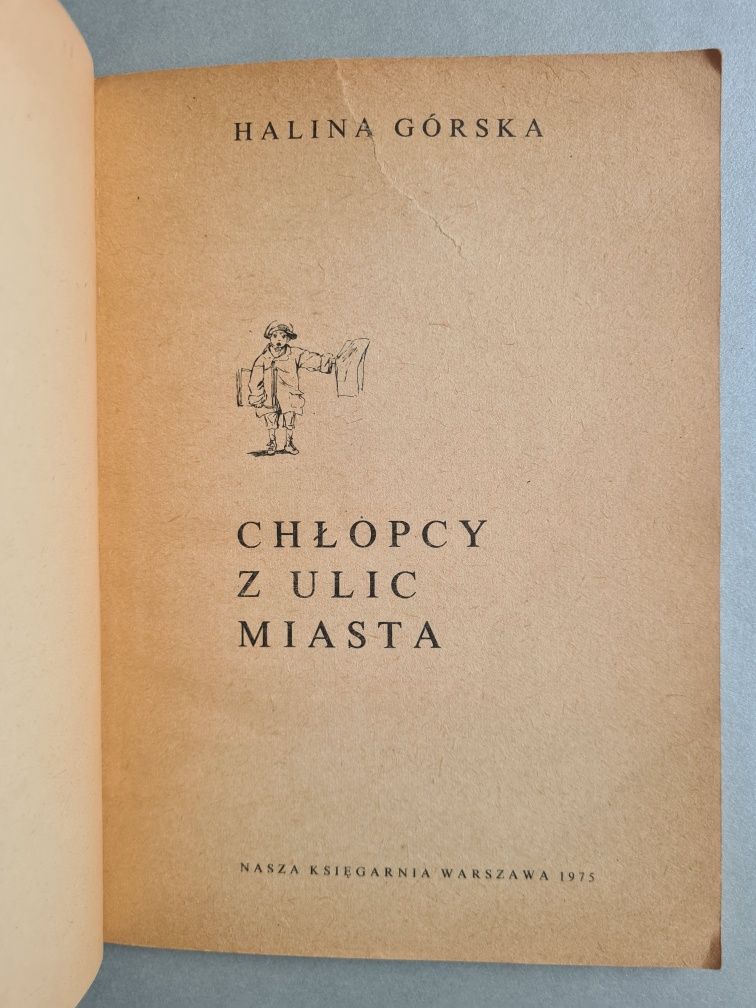 Chłopcy z ulic miasta - Halina Górska