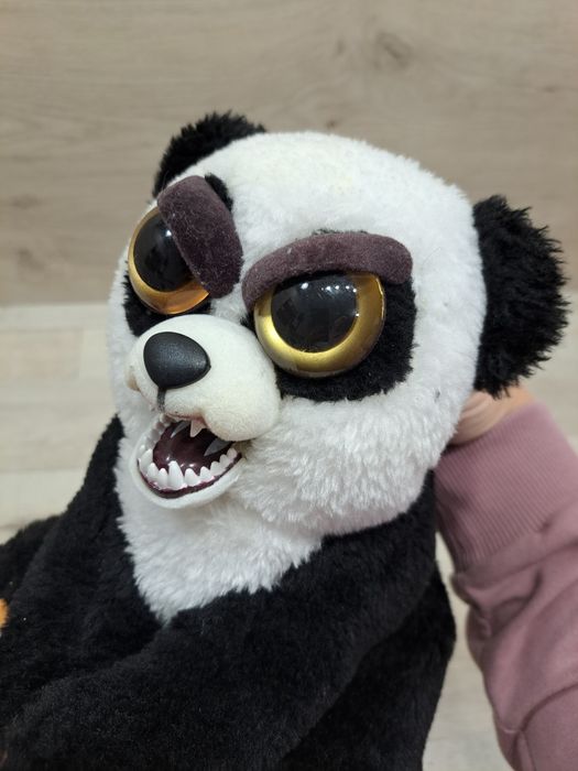 Mis panda feisty pets