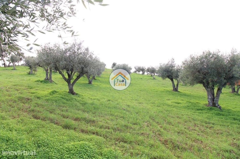 Terreno com área de 10.250m2 e com Viabilidade de Construção de 200m2