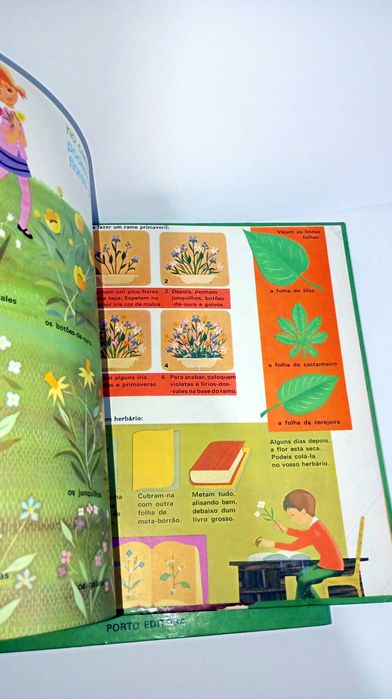 Coleção Completa sobre as estações do Ano - Porta Editora