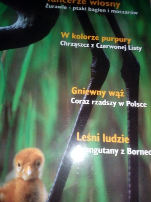 Magazyn przyrodniczy "Salamandra"