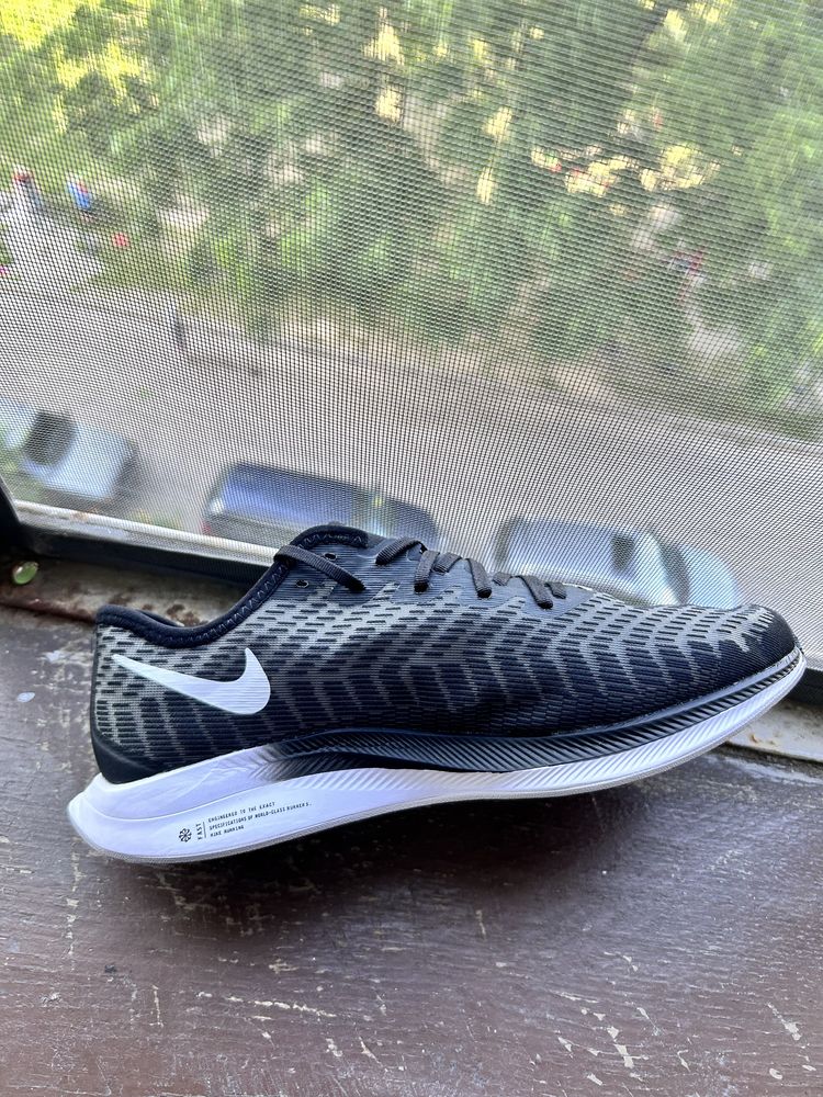 Чоловічі кросівки Nike Pegasus Turbo 2