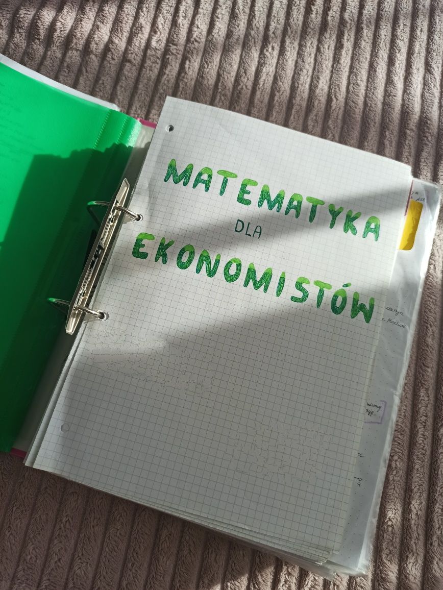 Notatki Analityka Gospodarcza