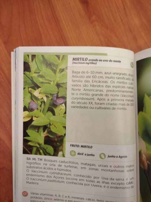 2 Guias práticos "Ervas silvestres" e "Frutos silvestres comestíveis "