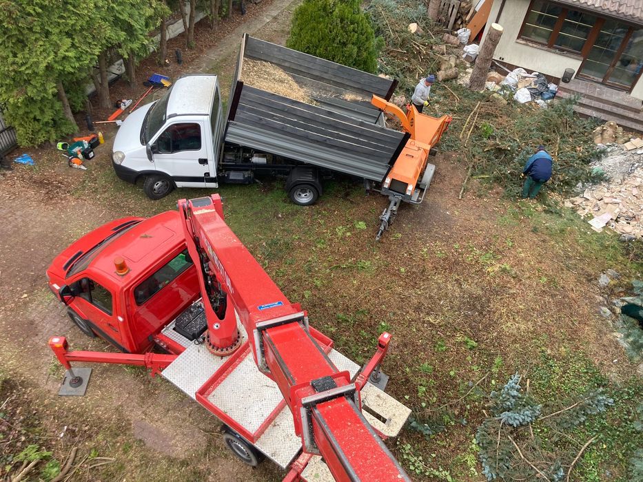 Wycinka Drzew, Usługi Rębak, Wynajem, Podnośnik koszowy, Wywrotka