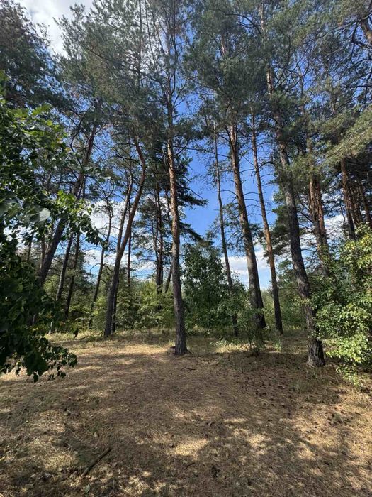 Продається земельна ділянка 1,5 га Китайгород Дніпропетровської обл