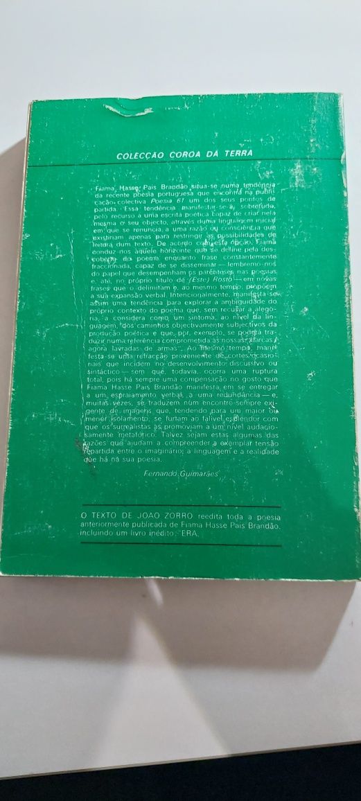 O Texto de João Zorro - Fiama Hasse Pais Brandão