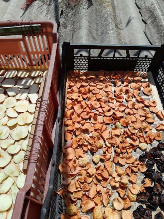 Сушка з яблука..