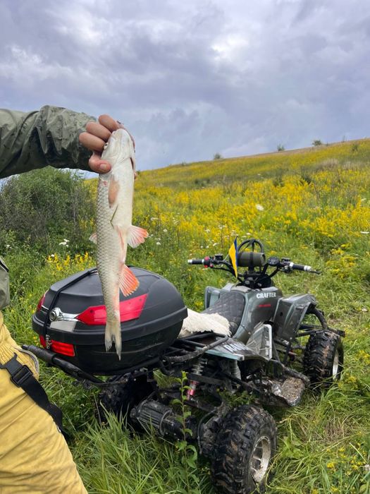 Крутейший Emobili Crafter ranger электро квадроцикл 2.5 квт