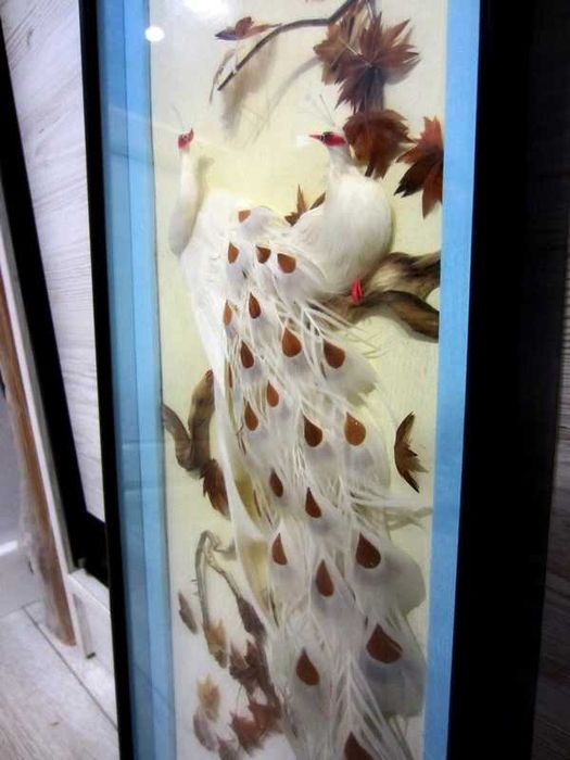 Винтажная рамка-витрина из настоящего павлиньего пера Перламутр