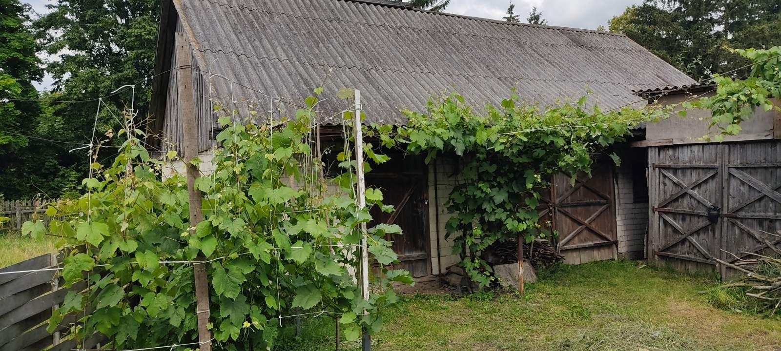 Продам будинок у с. ПІСКІВ (Костопільський р-н) Рівненська обл.