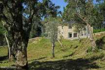 Quinta T2 para venda