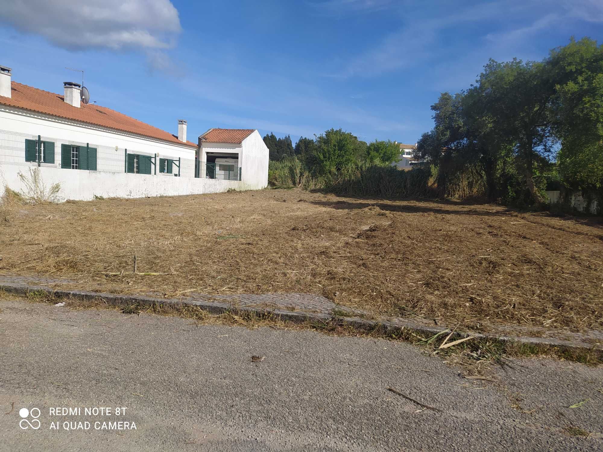 Limpeza de terrenos e matas florestais e agrícolas e poda de árvores