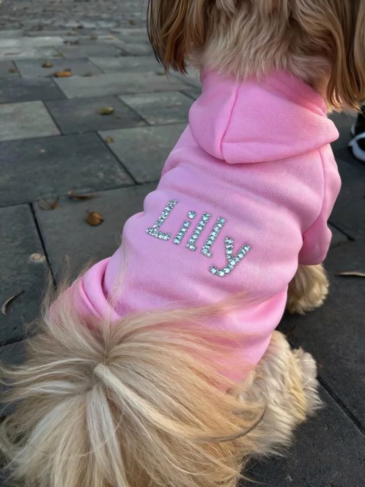 handmade одяг для собак, кофта светр для собаки зі стразами