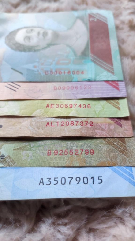 Zestaw banknotów Wenezuela