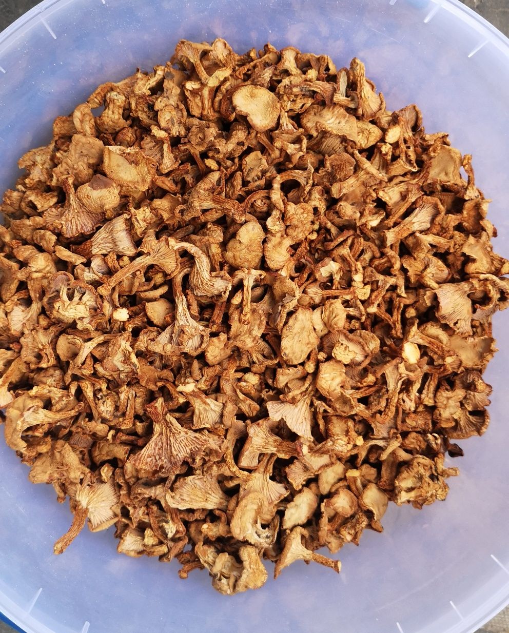 Лисички сушёные, маринованные белые грибы
