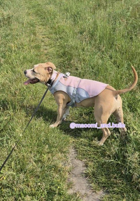 Kamizelka chłodząca