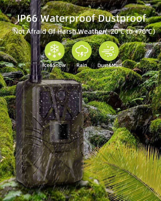 Camara de Caça 4G - Vídeo em Direto