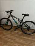 Bicicleta adulto