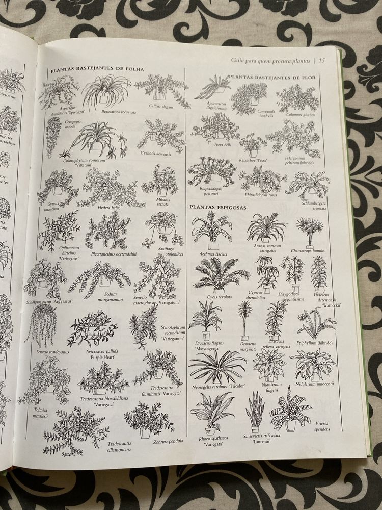 Grande livro 200 Plantas de Interior