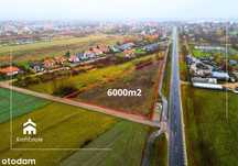 Ostatnia działka inwestycyjna w Serocku 6000m2✔