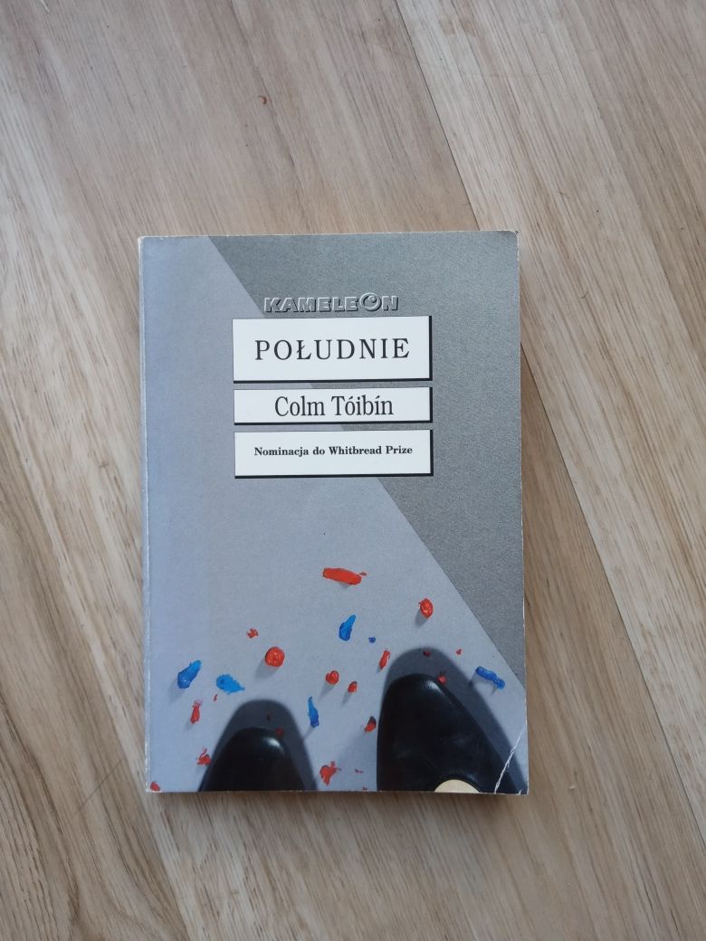 Południe, Colm Toibin - Literatura