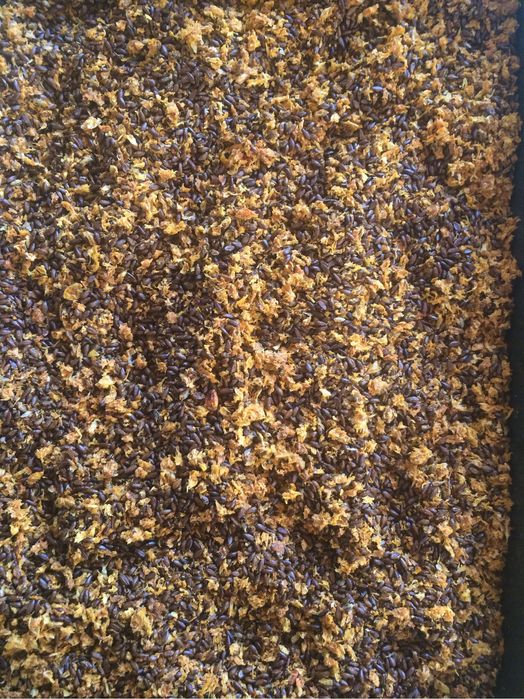 Жмих обліпихи, обліпиха, жмих