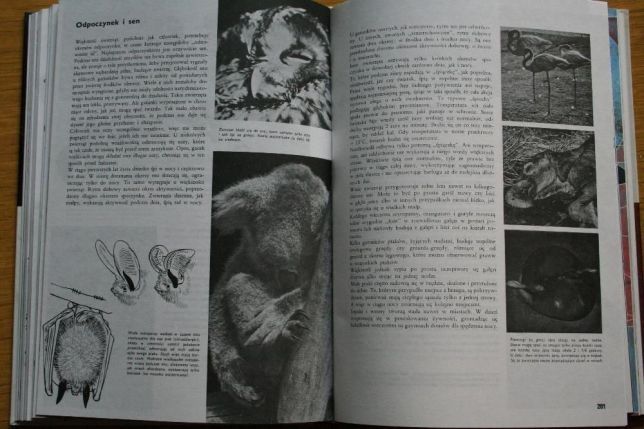 Encyklopedia LAROUSSE; Ziemia, Rośliny, Zwierzęta