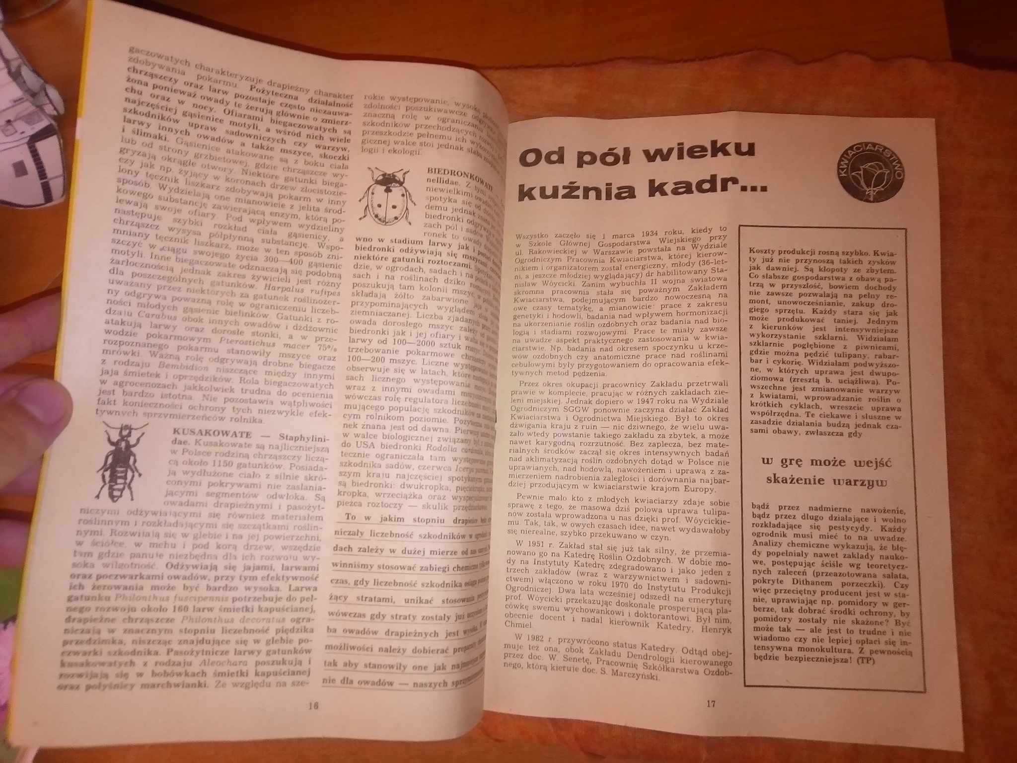 Hasło ogrodnicze miesięcznik 10 1985 ogrodniczy gazeta czasopismo