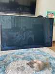 Telewizor Panasonic
