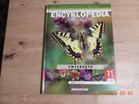 Encyklopedia Przyrody - Tom 11 Zwierzęta - Motyle
