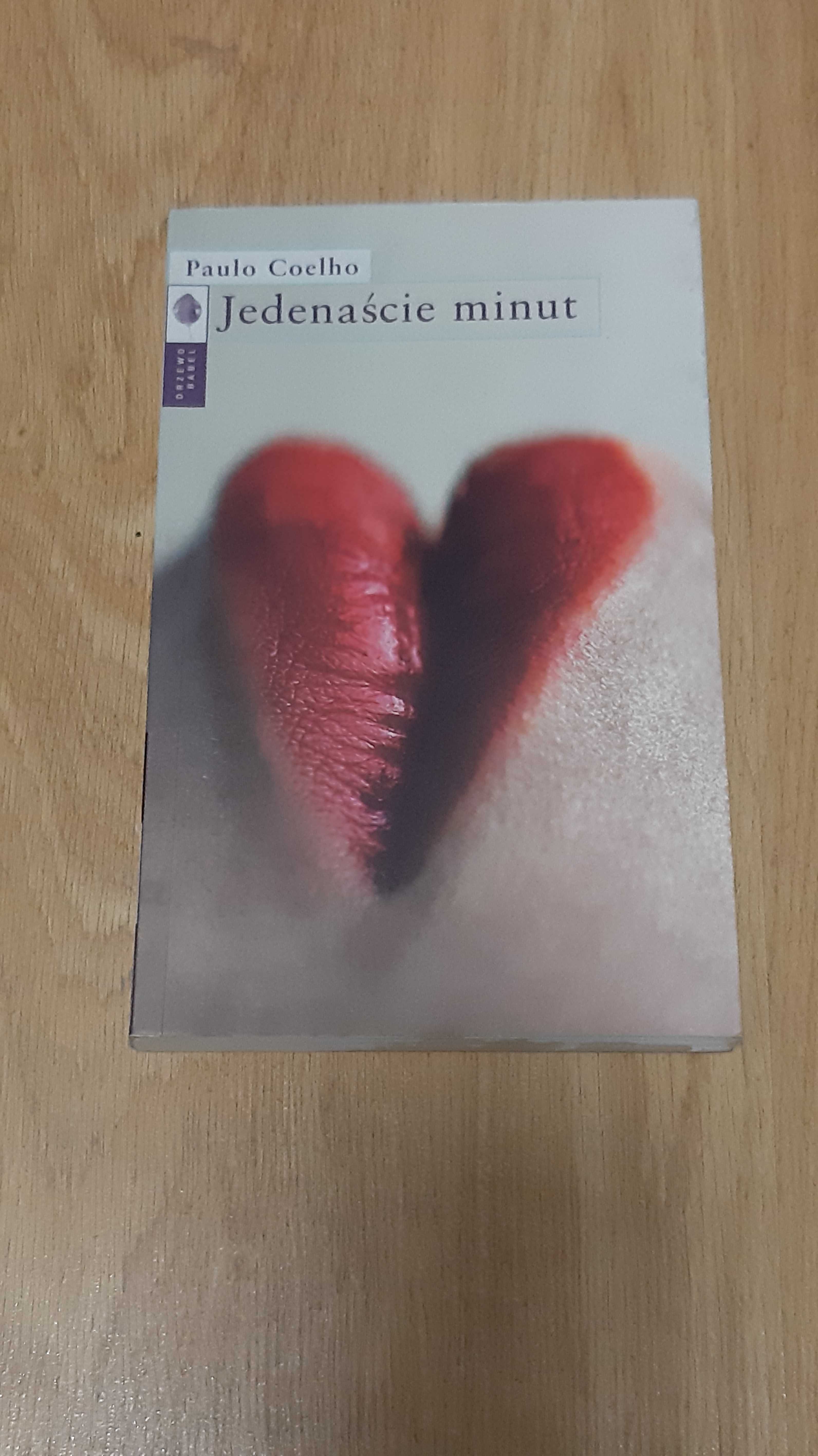 Paulo Coelho Jedenaście minut