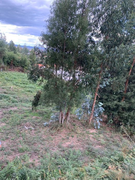 Terreno urbano pronto a construir em zona valorizada de Paredes