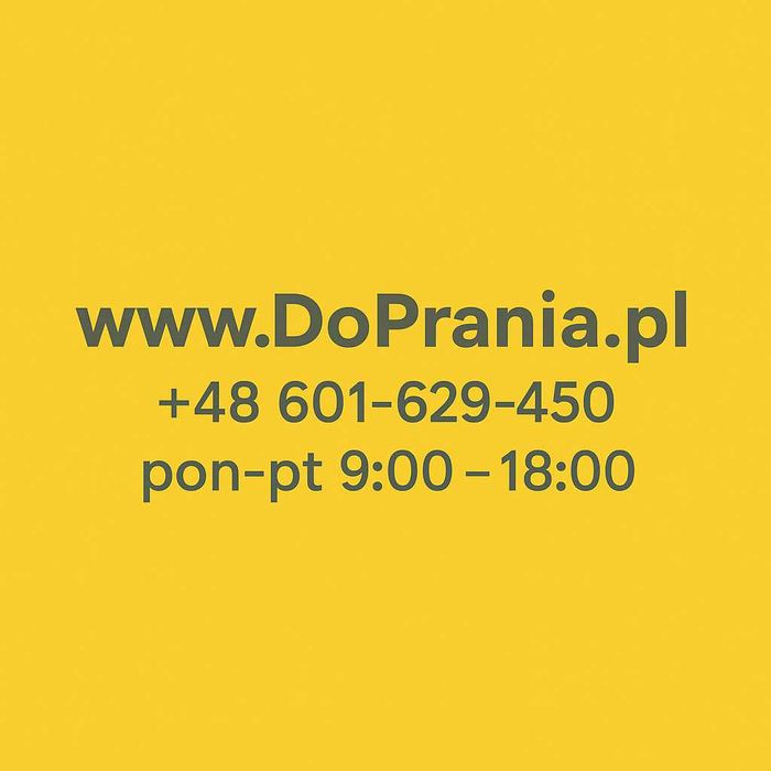 Odkurzacz piorący karcher PUZZI wynajem