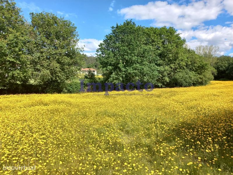 Terreno, Aveiro, Arouca