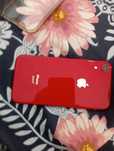 iPhone XR 64gb impecável